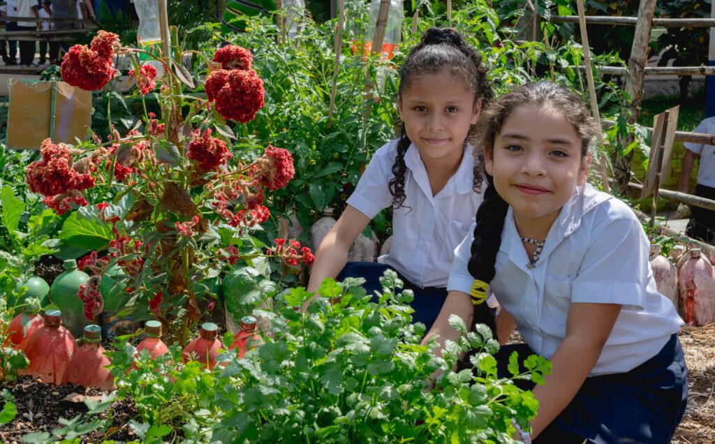 Conozca las publicaciones de la Cooperación Internacional Brasil-FAO en alimentación escolar