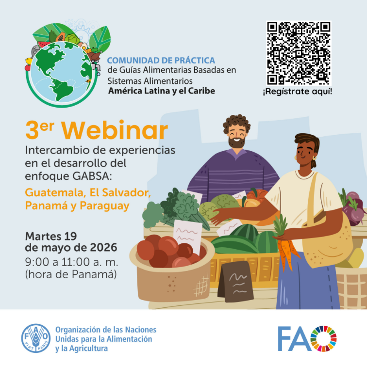 Intercambio de experiencias en el desarrollo del enfoque GABSA: Guatemala, El Salvador, Panamá y Paraguay