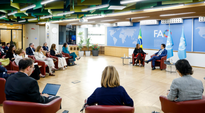 Implementación de la RAES fue destacada como importante contribución del Programa de Cooperación Sur-Sur Trilateral Brasil-FAO en una reunión del Gobierno de Brasil con el Directo…