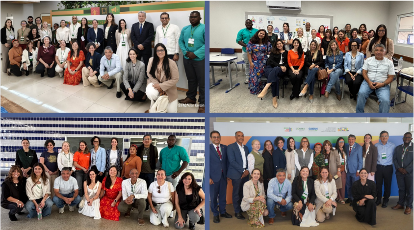 Con visita a escuela del DF, RAES apoya intercambio de experiencias entre 14 países sobre gobernanza de la seguridad alimentaria y nutricional
