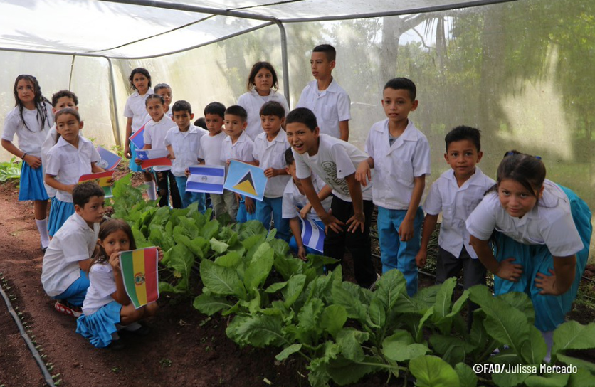 II edición de la Muestra RAES reúne experiencias para fortalecer la alimentación escolar en América Latina y el Caribe 